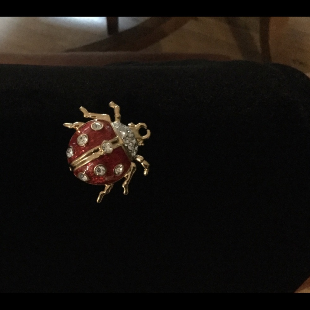 Ladybug pin